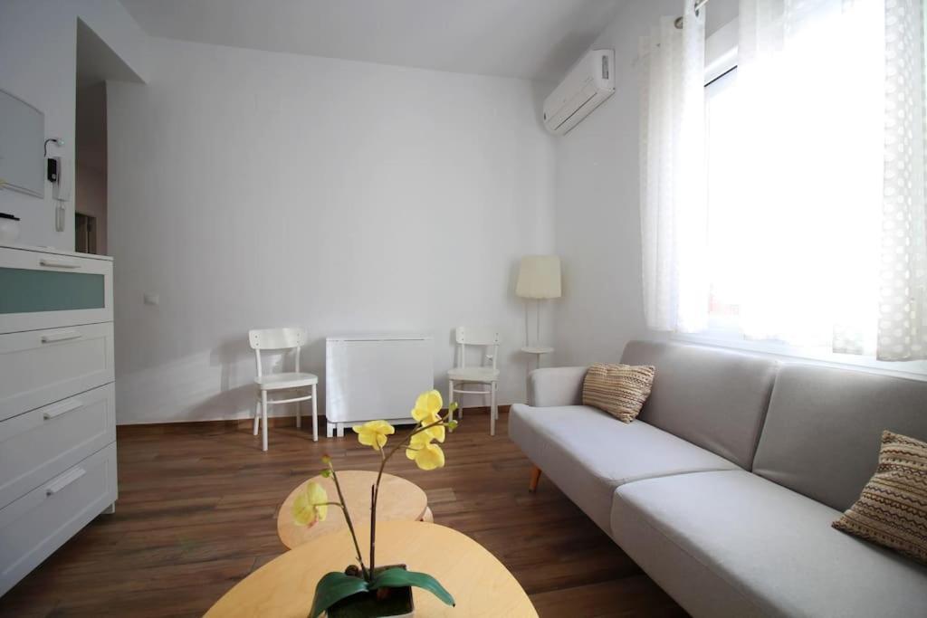 Apartamento Centro - Carrion Mejias *